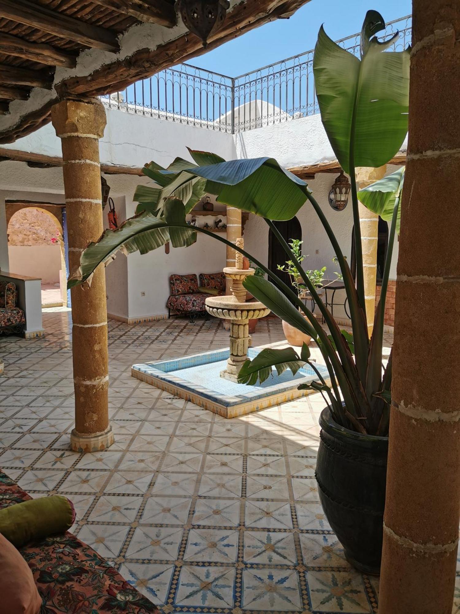 Riad Eucalyptus Essaouira Bagian luar foto