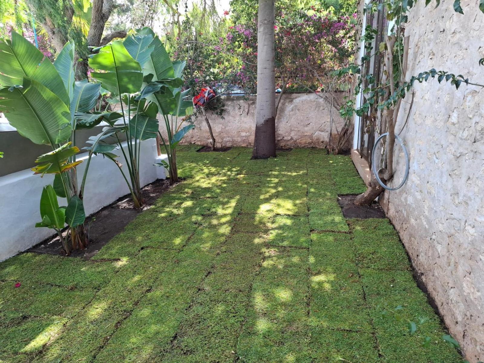 Riad Eucalyptus Essaouira Bagian luar foto