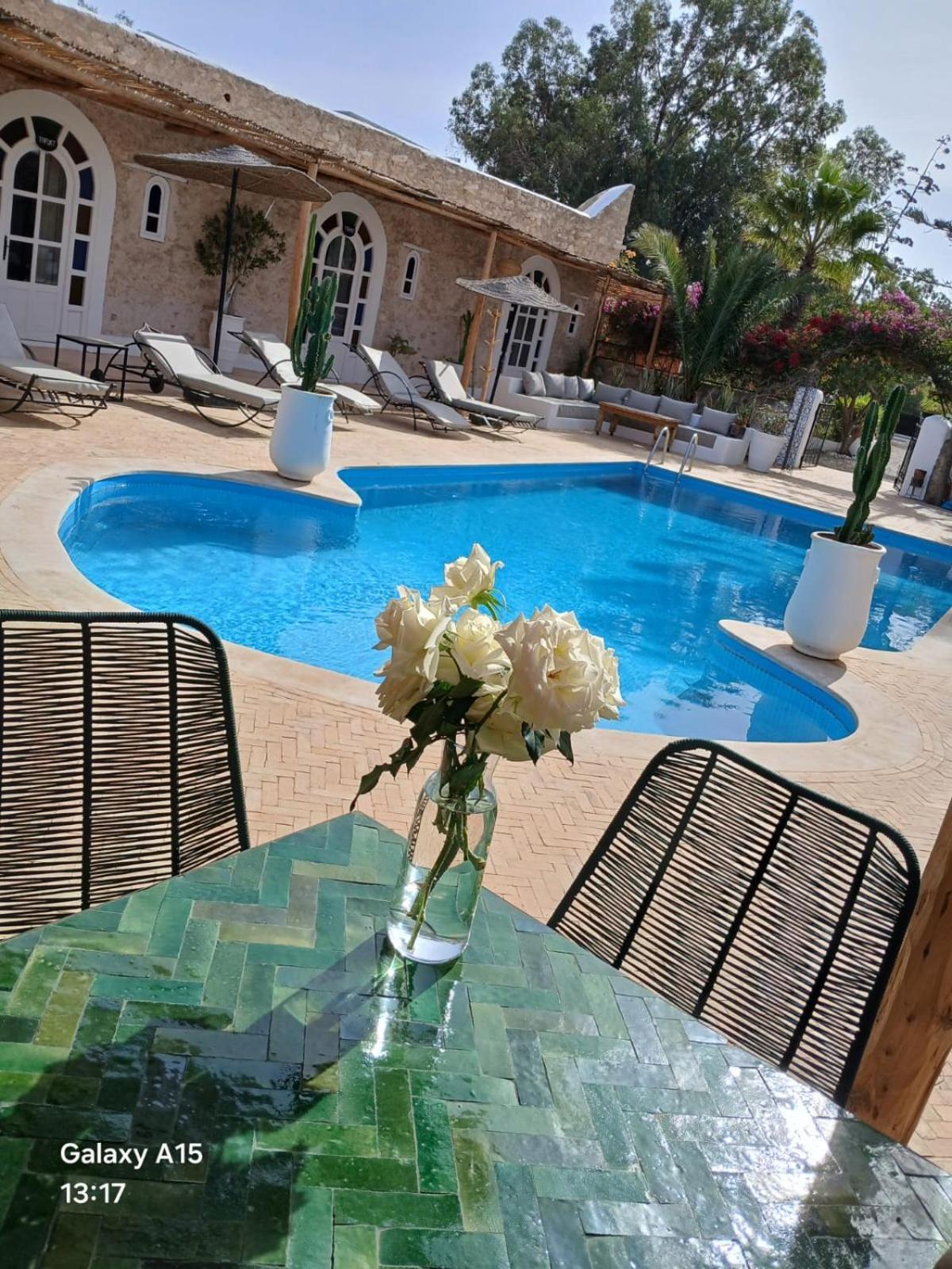 Riad Eucalyptus Essaouira Bagian luar foto